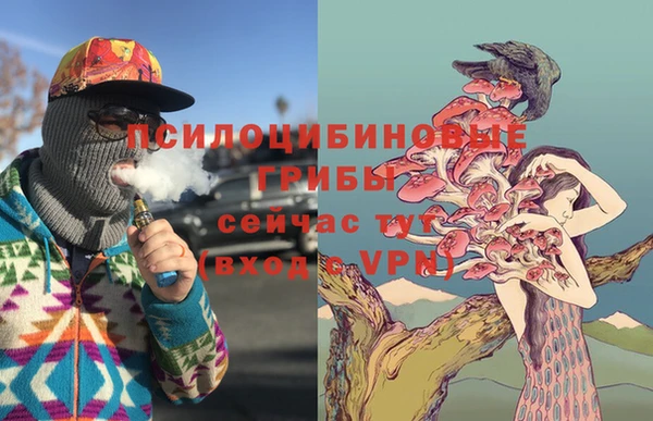 героин Рославль