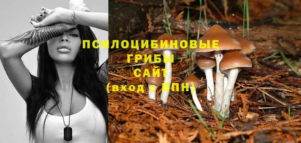 дурь Абаза
