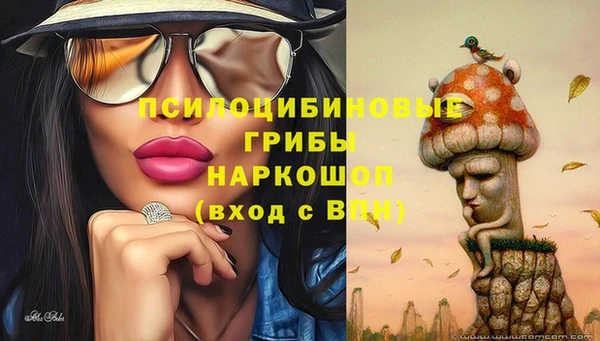 бутират Алзамай