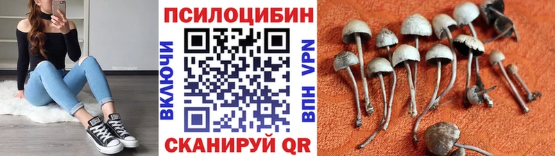 Псилоцибиновые грибы MAGIC MUSHROOMS  Кандалакша 